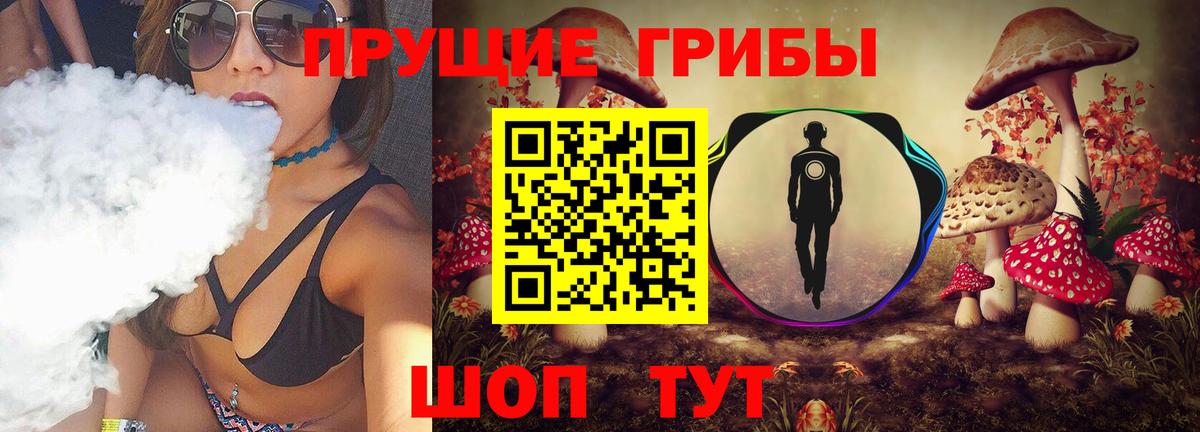 Псилоцибиновые грибы мицелий  купить  цена  Щёлково  Псилоцибиновые грибы Cubensis  Вход с VPN 
